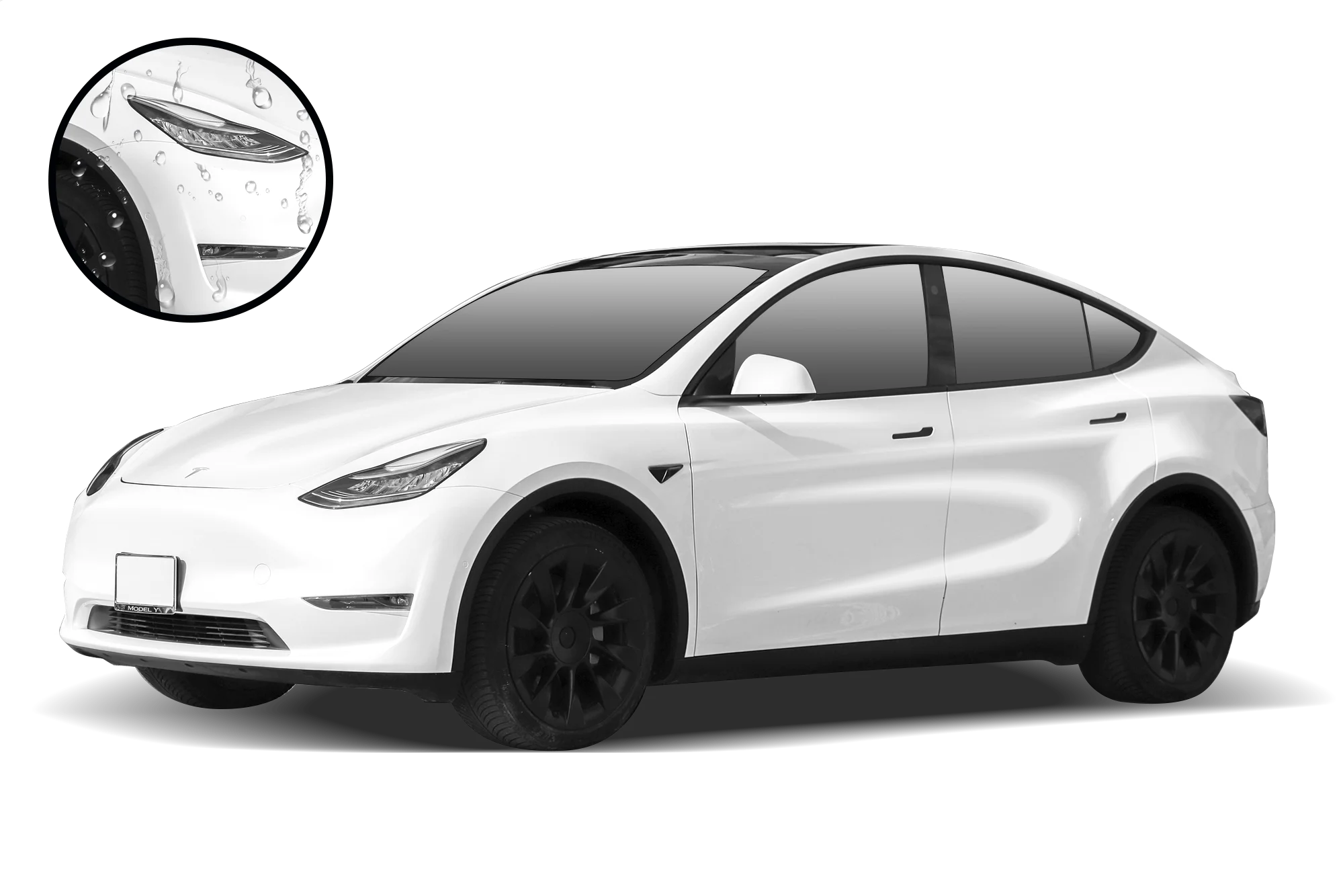 Model store u tesla